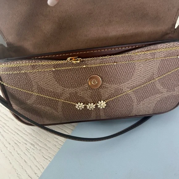 Coach Brown and Tan Women's Bag - Picture 6 of 8